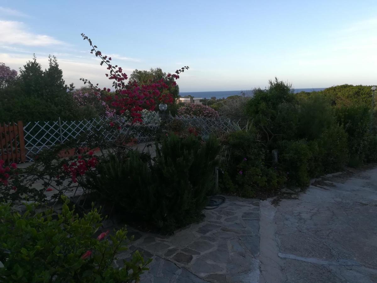 Apartmán Via Carru E Frau Stintino Exteriér fotografie